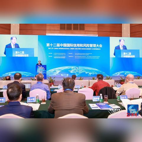信保业务诈骗案例深度解析，风险识别与防范策略探讨