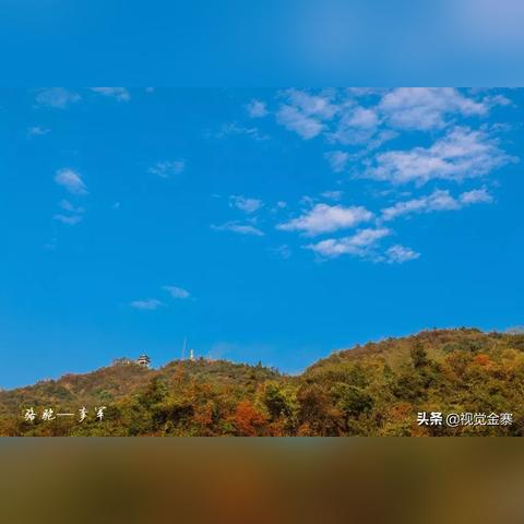 安徽兴旺门厂最新招聘信息全解析