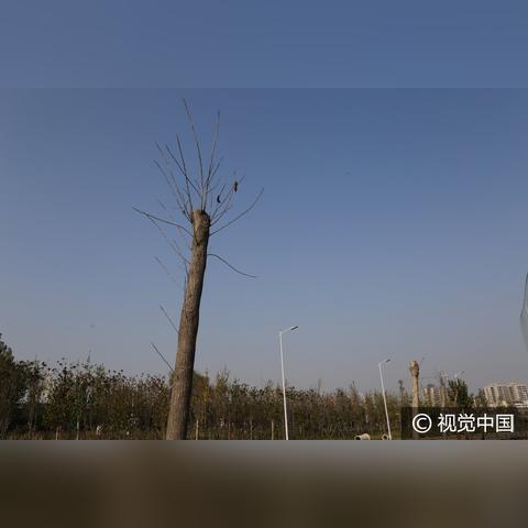 郑州饭店惊现发臭事件真相揭秘