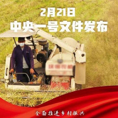 辛巴进军新目标国家，最新动态与深度解析