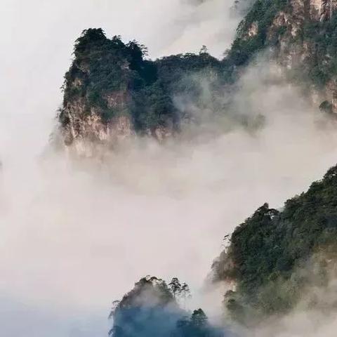 南宁爆款缆车事故惊险瞬间，事故原因深度解析与应对策略探讨