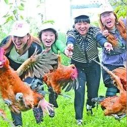 柚子红包视频最新版下载与安装全攻略，最新指南助你轻松上手！