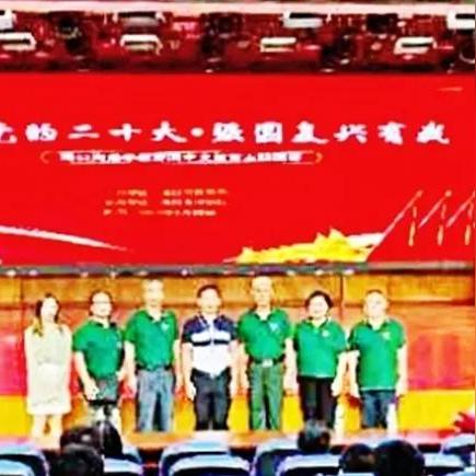 海口新海港片区建设进展迅速，揭示未来潜力新动态