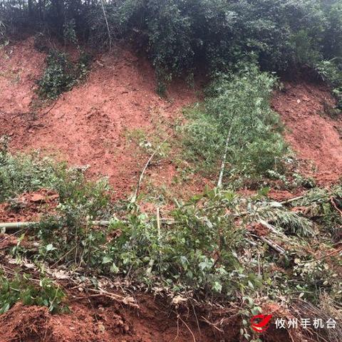 攸县网岭工业园工厂名单最新及园区蓬勃发展概况