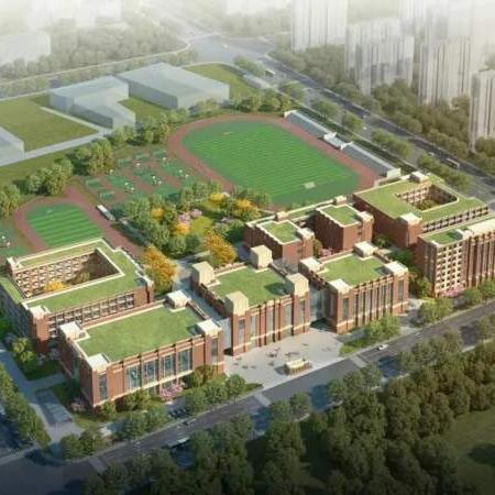 马桥华宁路租房最新动态与全面指南
