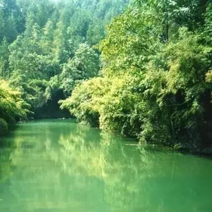 惠水烧烤胜地，价格查询与体验分享攻略