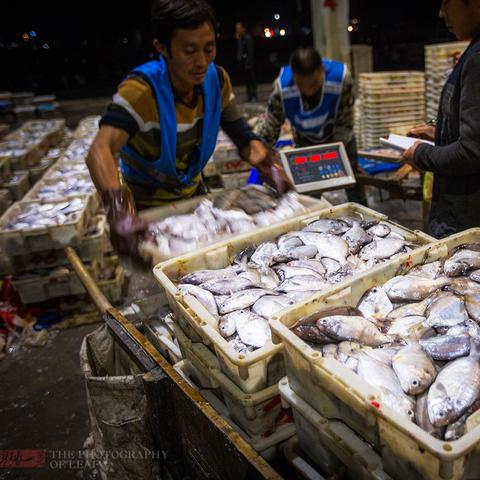 最新水产码头运货要求标准全面解读