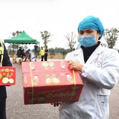 新干国道封路情况最新查询及交通疏导措施详解
