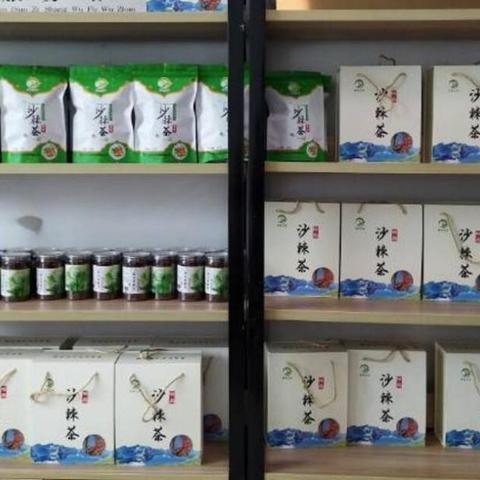 沙棘仓库最新实况播放与深度解析大全