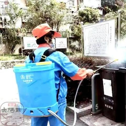 建泰物业最新动态揭秘，经理身份及团队运营概览