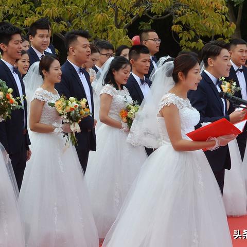 未来城市绿色出行新篇章，新风一路规划最新消息今日揭晓蓝图