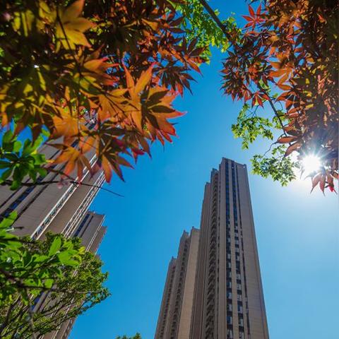 柳林楼盘价格动态解析，市场趋势与影响因素全面观察