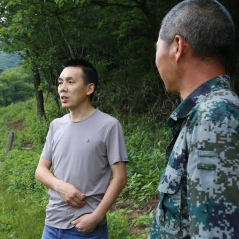 安吉最新动态，返回河南进程顺利与否揭秘