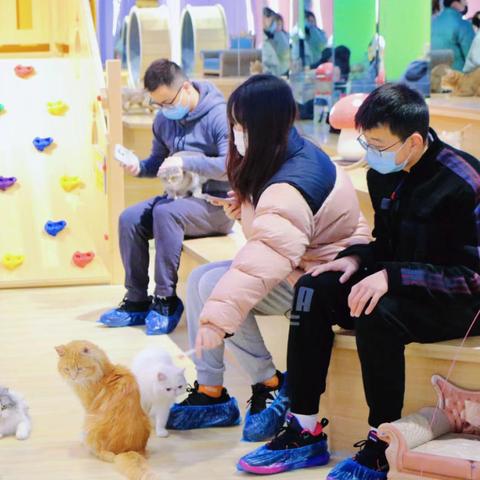南京萌宠乐园全新规划图曝光