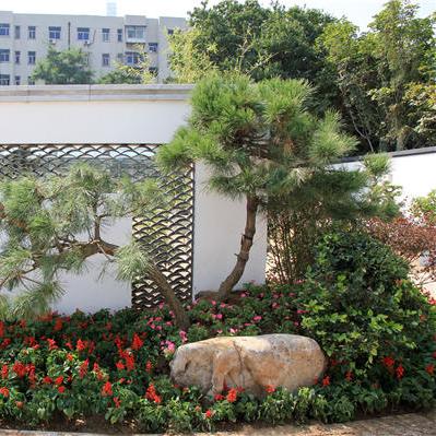 郑州苗圃房产最新动态，市场走势、优惠政策及购房指南全解析