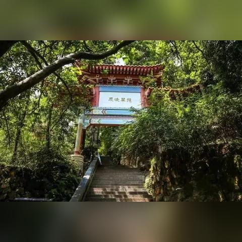 遵义深林豪华别墅最新出售信息，尊贵生活的臻选之地