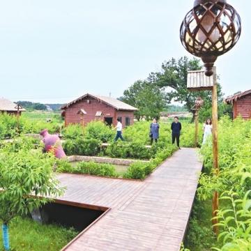 松滋老城湖泊整治项目进展，生态环境全面升级，打造宜居城市新标杆