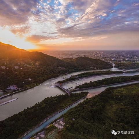 2025精准资料免费解答提供最新版，数据解读说明