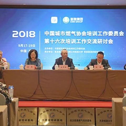 新奥最精准免费提供提供最新版，探索与解析